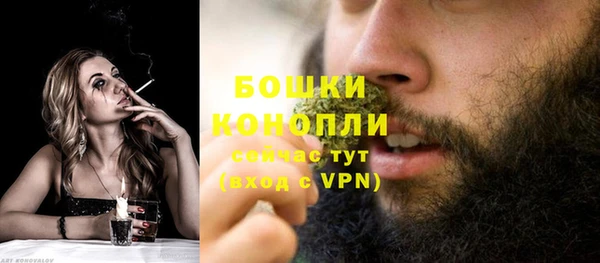 спиды Новозыбков