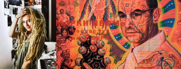 шишки Новодвинск