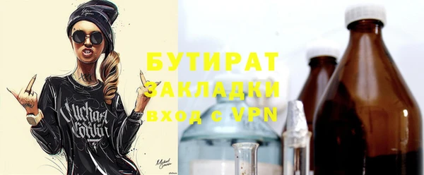 шишки Новодвинск