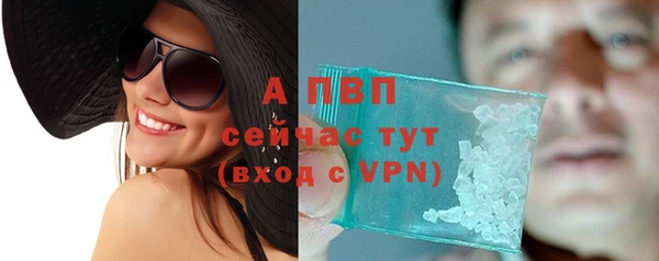 амф Новокубанск