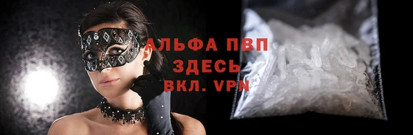 шишки Новодвинск