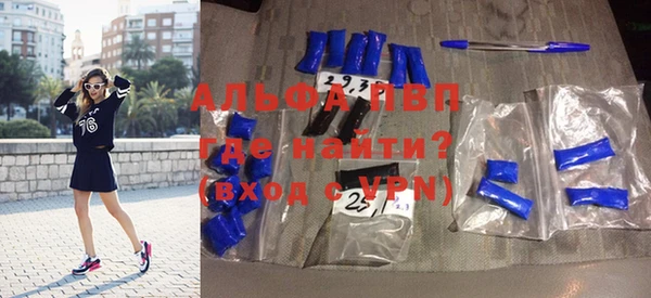 шишки Новодвинск