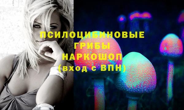 спиды Новозыбков