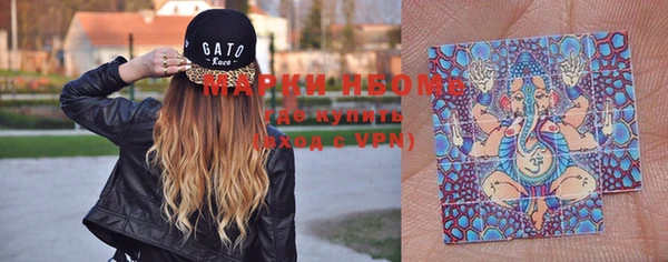 спиды Новозыбков