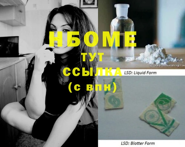 шишки Новодвинск